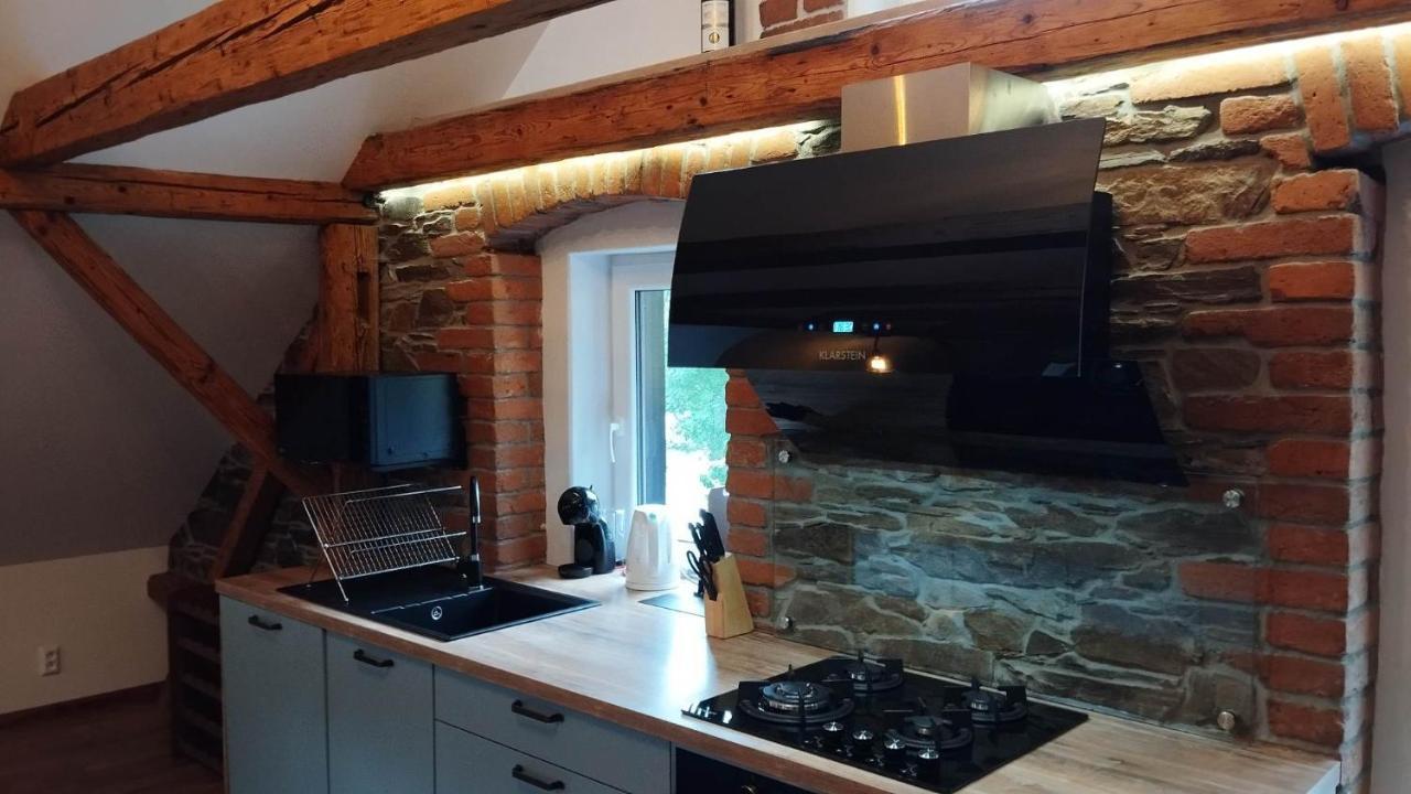Apartman Albreit 2 Jáchymov Dış mekan fotoğraf