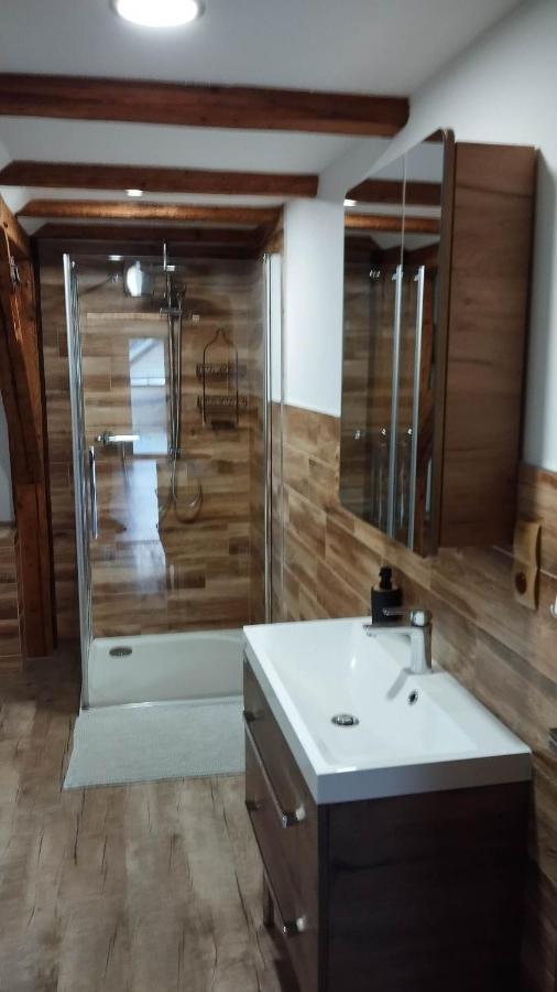 Apartman Albreit 2 Jáchymov Dış mekan fotoğraf