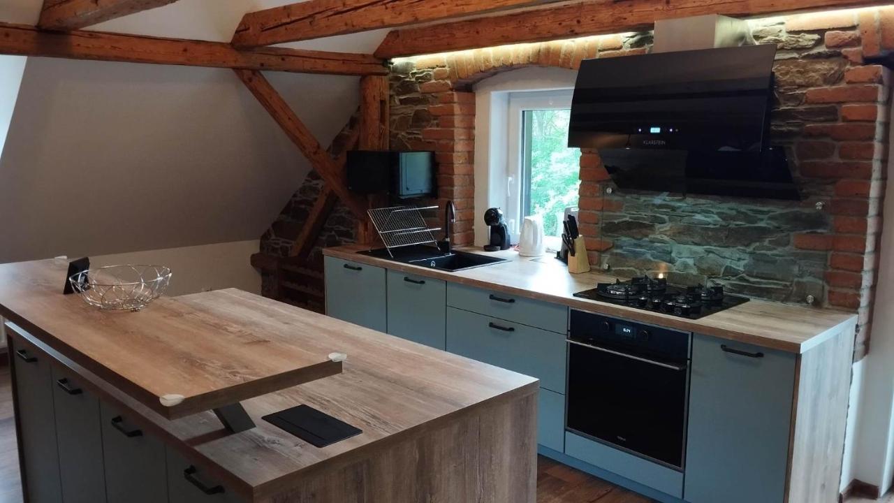 Apartman Albreit 2 Jáchymov Dış mekan fotoğraf