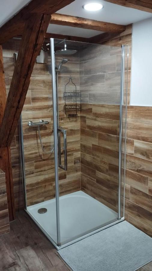 Apartman Albreit 2 Jáchymov Dış mekan fotoğraf