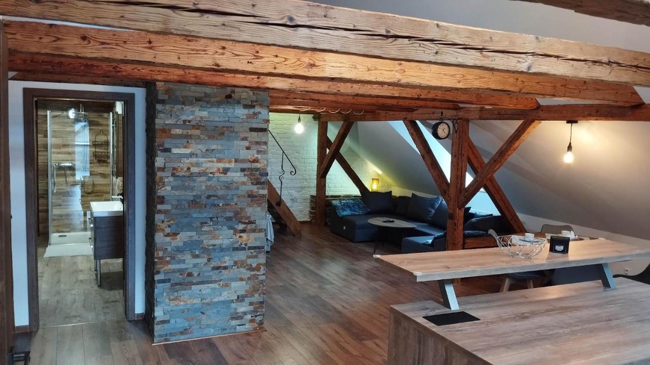 Apartman Albreit 2 Jáchymov Dış mekan fotoğraf